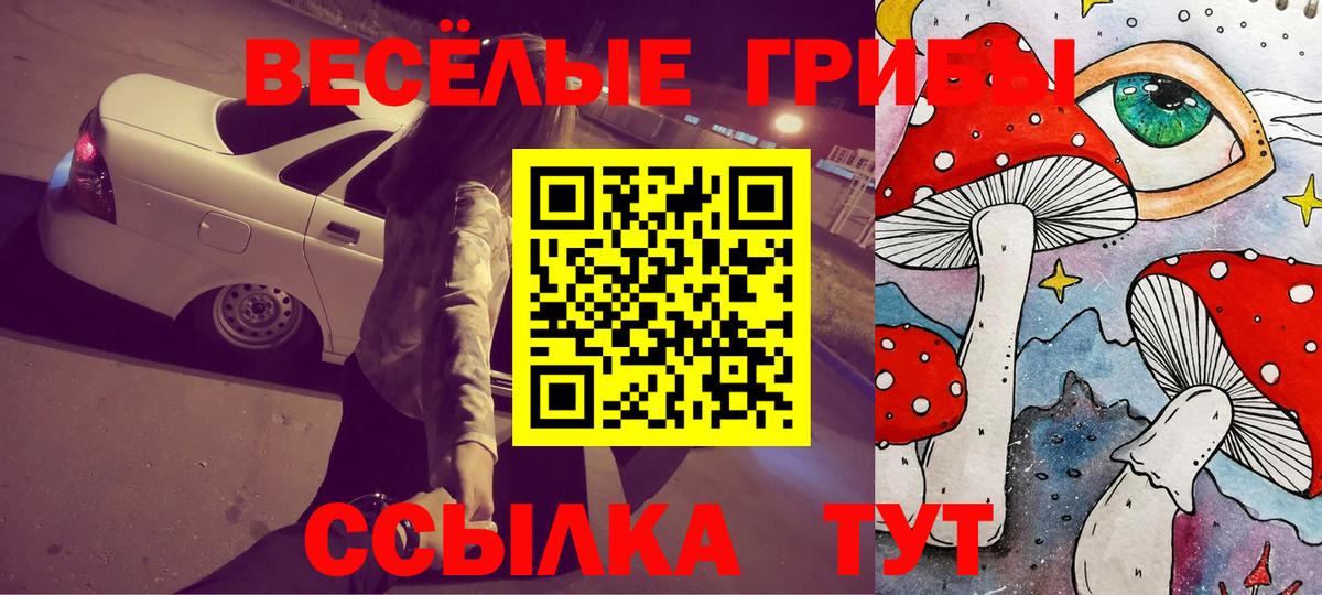 Псилоцибиновые грибы GOLDEN TEACHER Минусинск