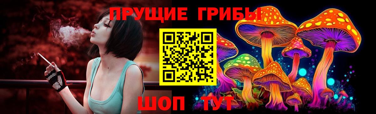 Минусинск  Галлюциногенные грибы Psilocybine cubensis  Вход с VPN 